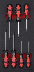 Modul 1/3 Skrutkovač TORX 8-30 7ks 61750120 Format