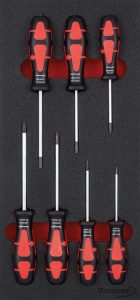 Modul 1/3 Skrutkovač TORX 8-30 7ks 61750120 Format